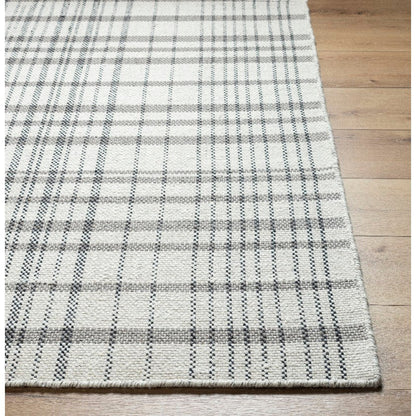 Ishaq Solid and Border Light Silver Area Rug