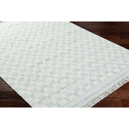 Clinten Solid and Border Light Slate Area Rug