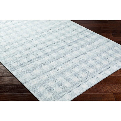 Jamaris Solid and Border Light Slate Area Rug
