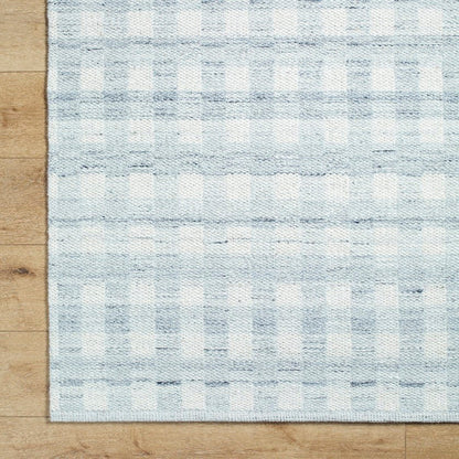 Jamaris Solid and Border Light Slate Area Rug