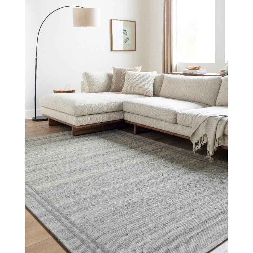 Janmichael Solid and Border Gray Area Rug