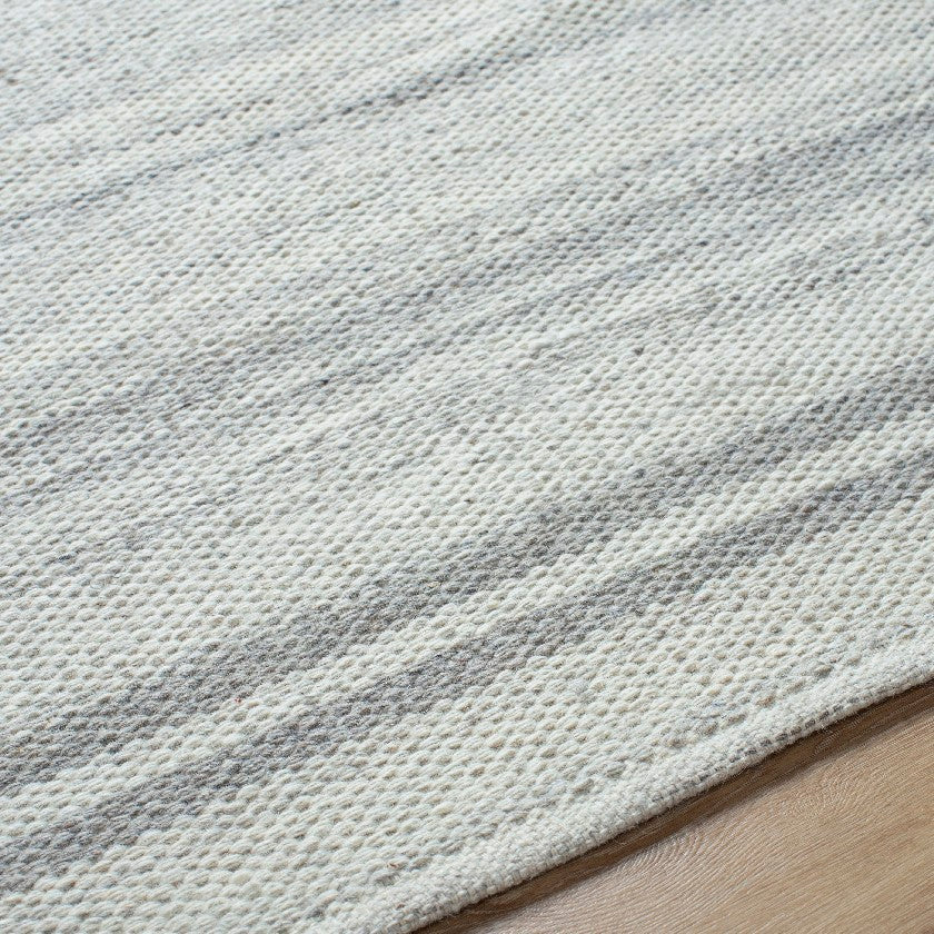 Janmichael Solid and Border Gray Area Rug