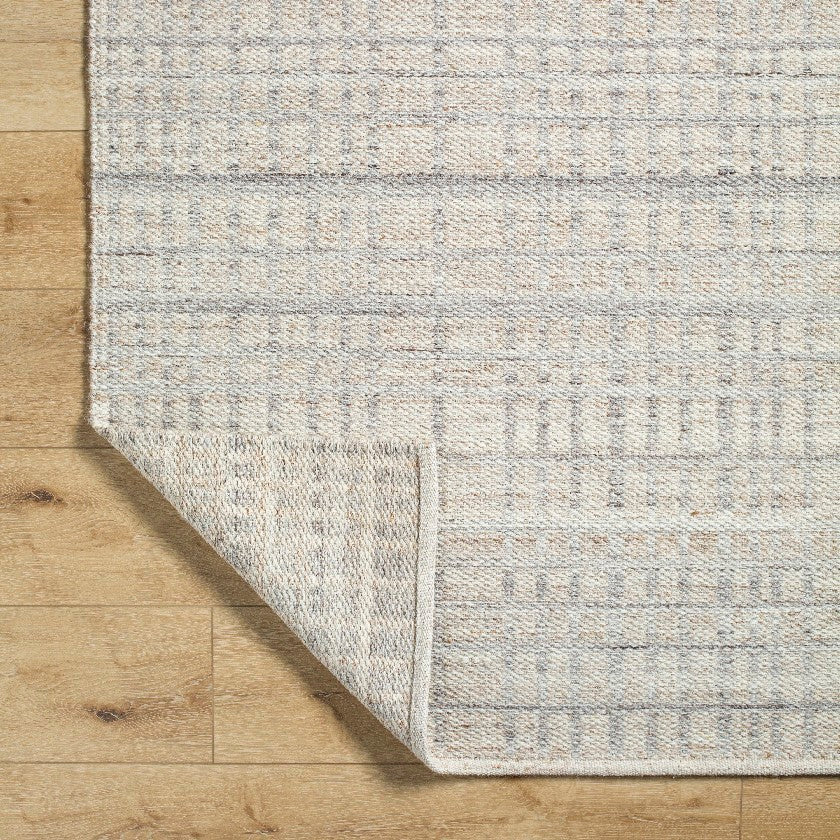 Ishaq Solid and Border Ash Area Rug
