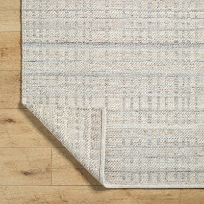 Ishaq Solid and Border Ash Area Rug