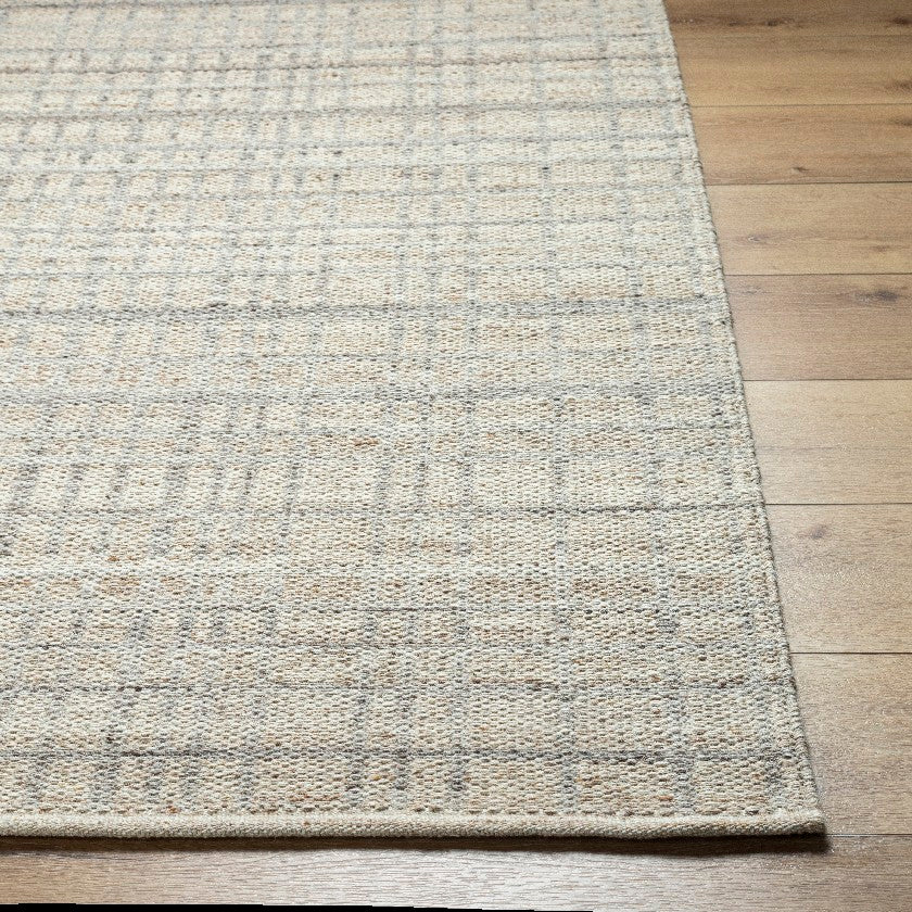 Ishaq Solid and Border Ash Area Rug