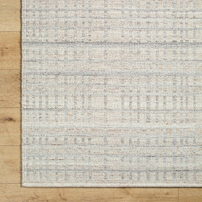 Ishaq Solid and Border Ash Area Rug