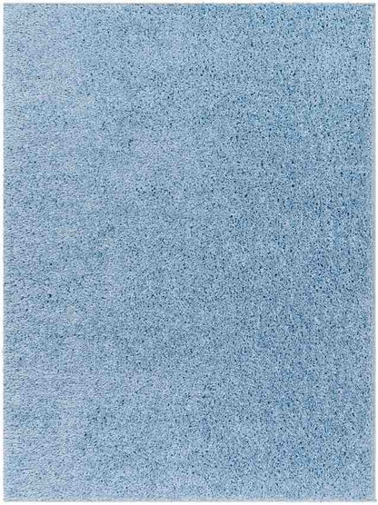 Charon Shag Denim Area Rug