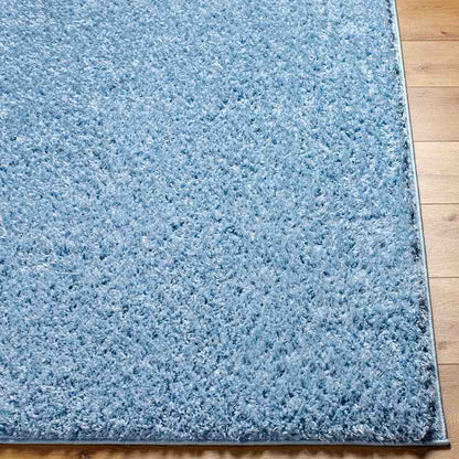 Charon Shag Denim Area Rug