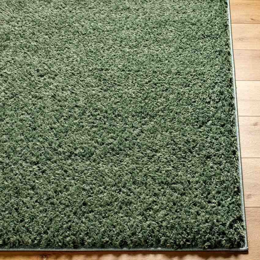 Charon Shag Dark Green Area Rug