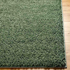 Charon Shag Dark Green Area Rug