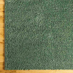 Charon Shag Dark Green Area Rug