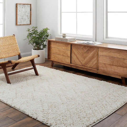 Jalon Modern Off-White Area Rug