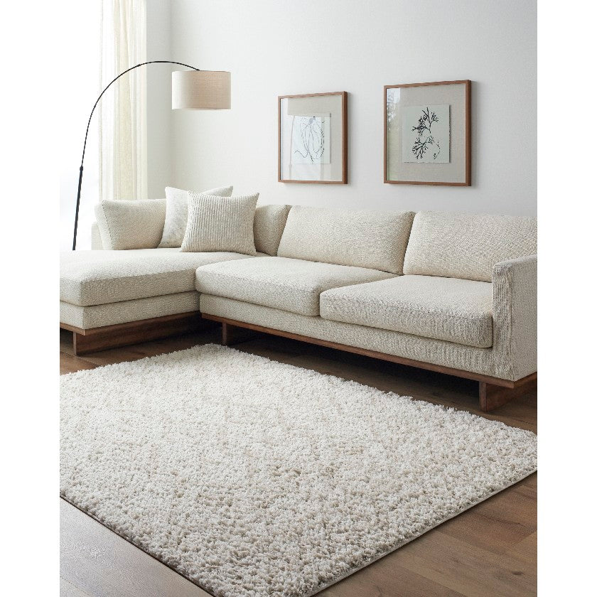 Jalon Modern Off-White Area Rug