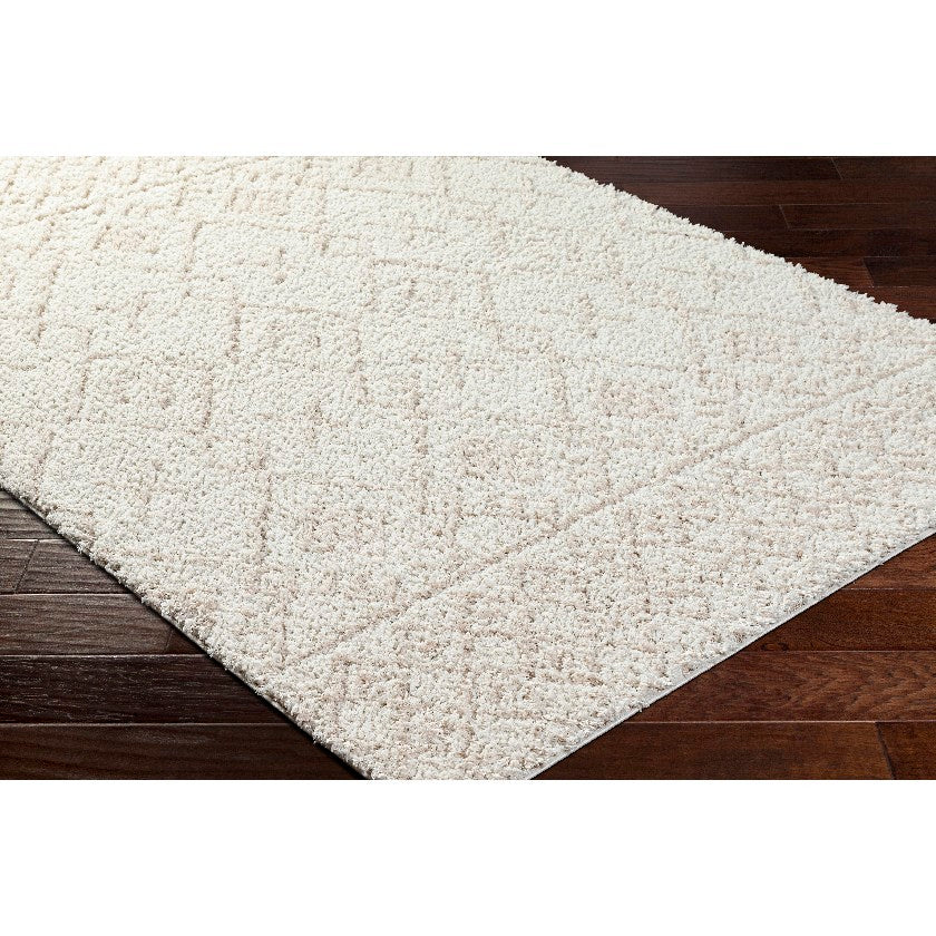 Jalon Modern Off-White Area Rug