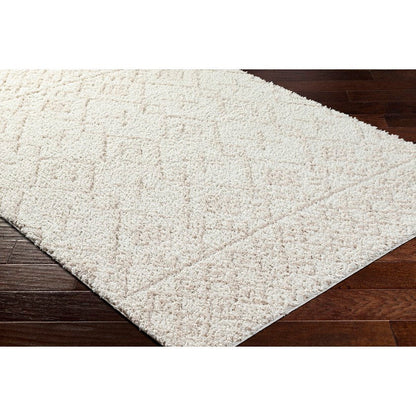 Jalon Modern Off-White Area Rug