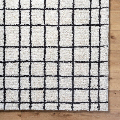 Alorton Modern White/Black Area Rug