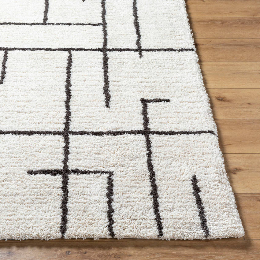 Ieasha Global Off-White/Onyx Area Rug