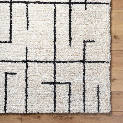 Ieasha Global Off-White/Onyx Area Rug