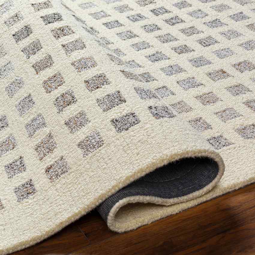 Virgie Modern Light Gray/Cream Area Rug