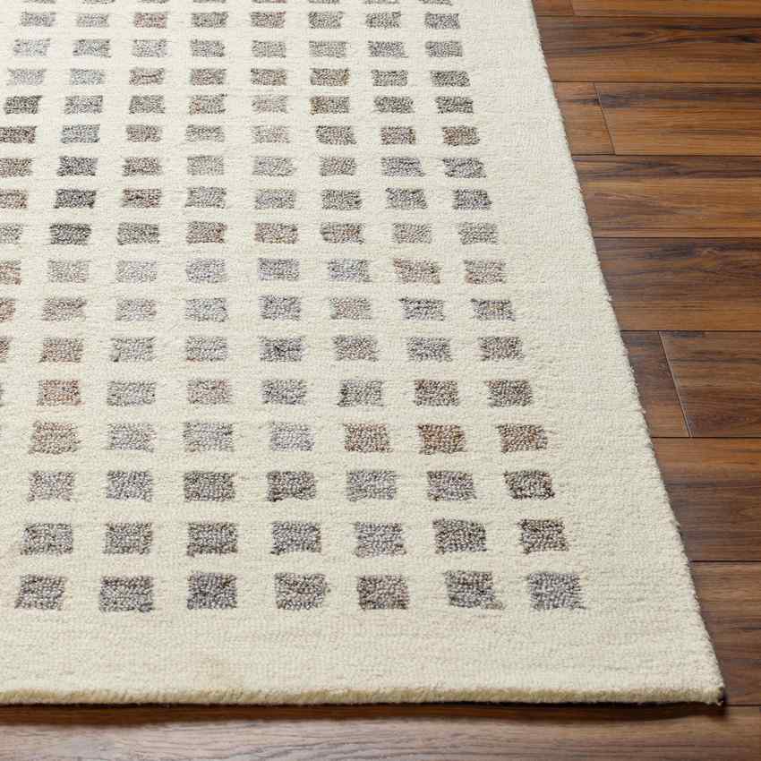 Virgie Modern Light Gray/Cream Area Rug
