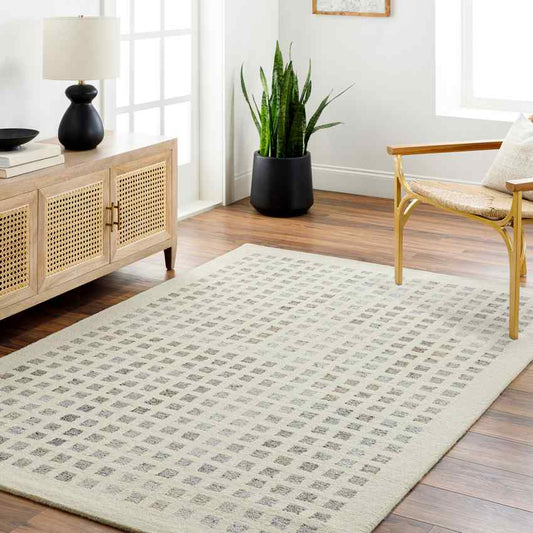 Virgie Modern Light Gray/Cream Area Rug