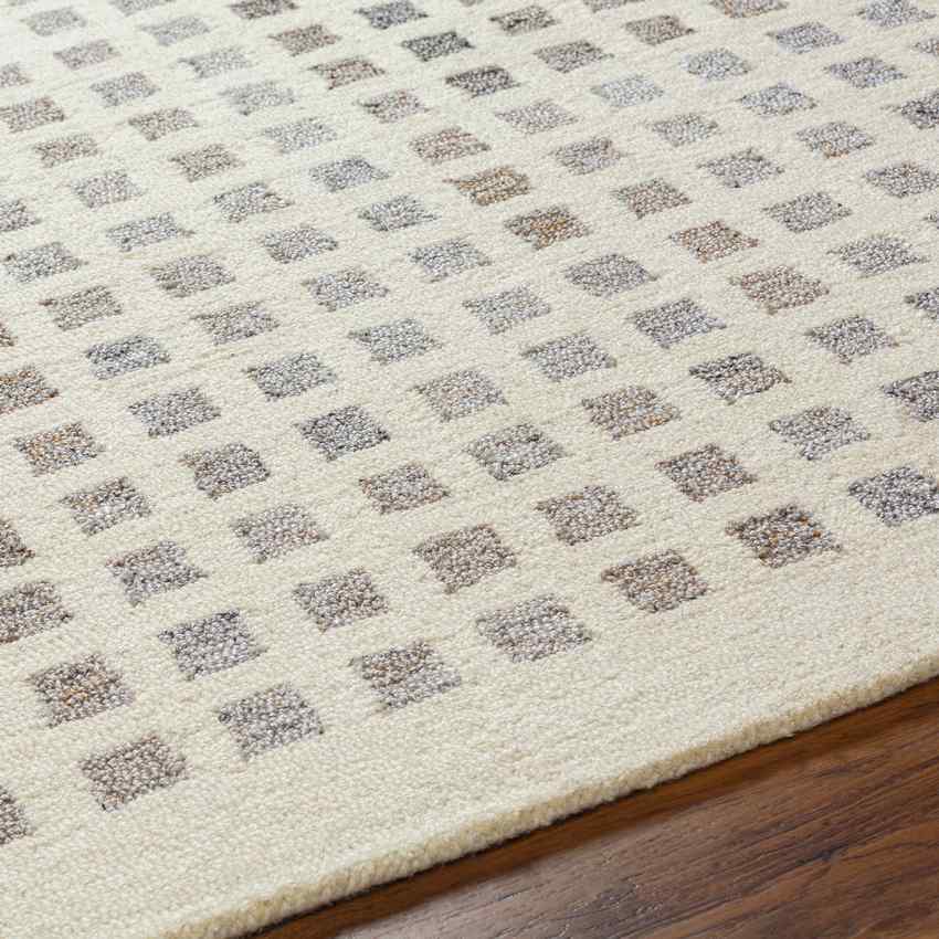 Virgie Modern Light Gray/Cream Area Rug