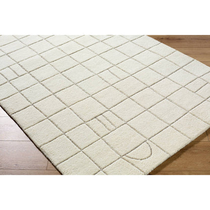 Leshawn Modern Light Silver Area Rug