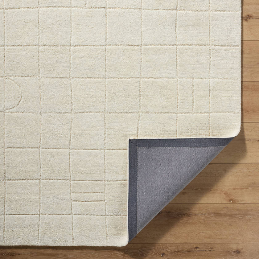 Leshawn Modern Pearl Area Rug