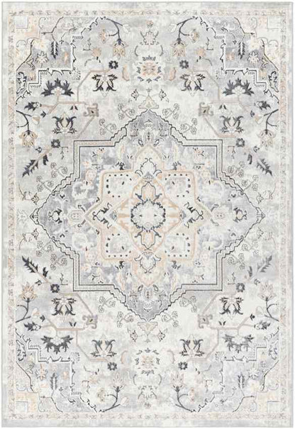 Dartagnan Traditional Light Gray Area Rug