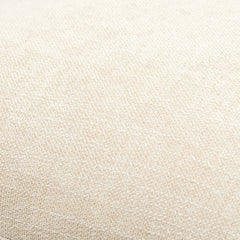 Demarkus Champagne Pillow Cover