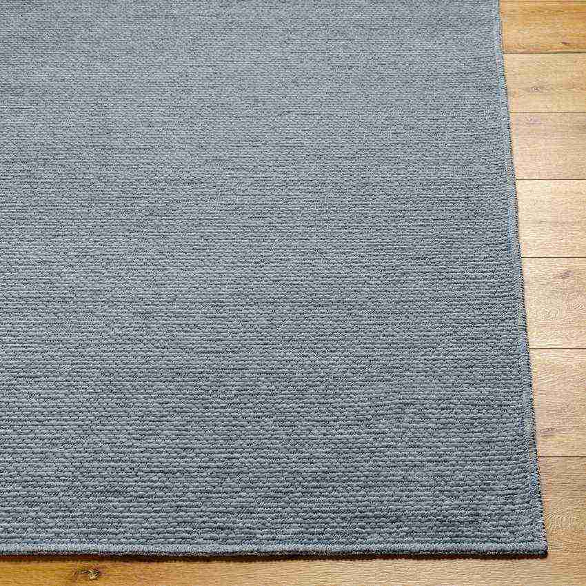 Tobey Solid and Border Light Gray Washable Area Rug