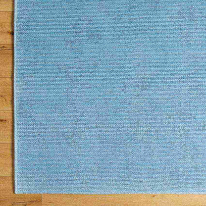 Tobey Solid and Border Pale Blue Washable Area Rug
