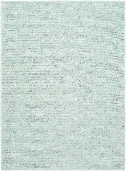 Tobey Solid and Border Seafoam Washable Area Rug