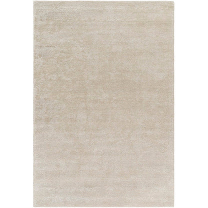Jett Solid and Border Light Brown Area Rug