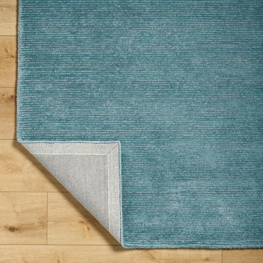 Jett Solid and Border Denim Area Rug