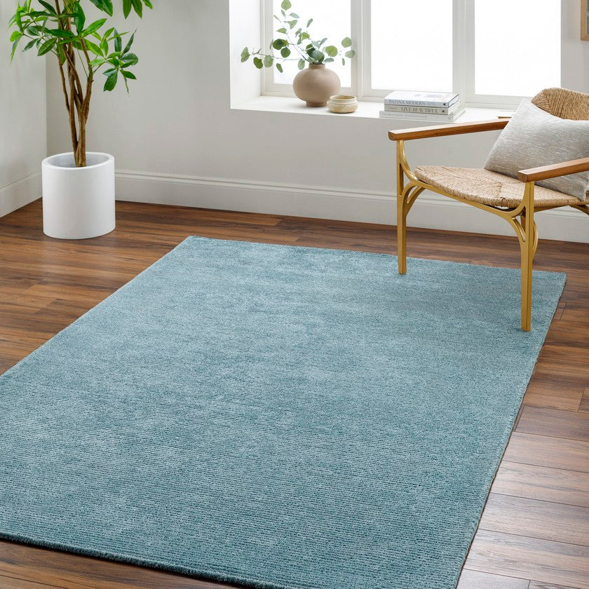 Jett Solid and Border Denim Area Rug