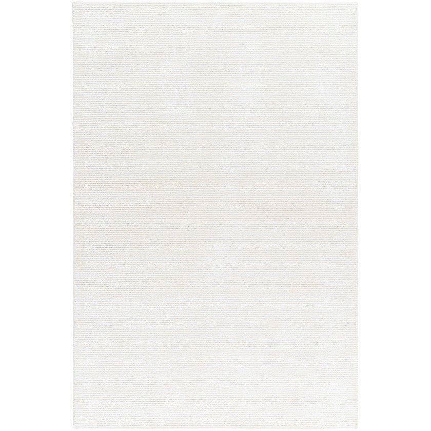 Jett Solid and Border Light Silver Area Rug