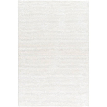 Jett Solid and Border Light Silver Area Rug