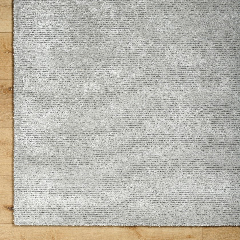 Jett Solid and Border Light Gray Area Rug