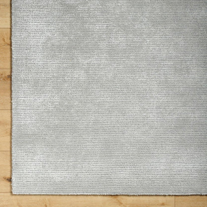 Jett Solid and Border Light Gray Area Rug