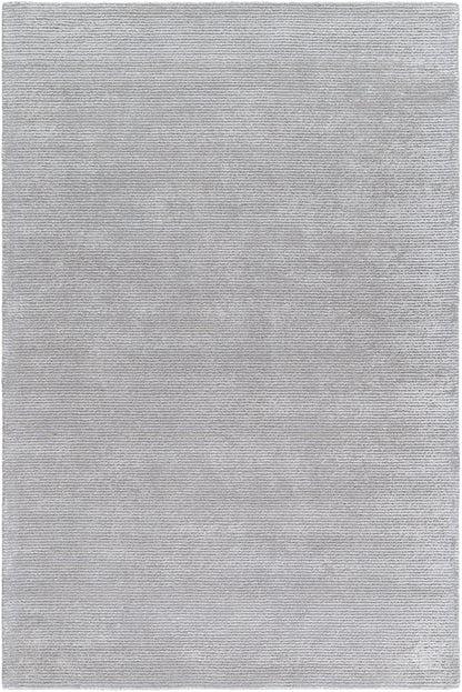 Jett Solid and Border Light Gray Area Rug