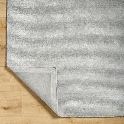 Jett Solid and Border Light Gray Area Rug