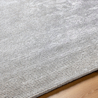 Jett Solid and Border Light Gray Area Rug