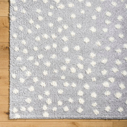 Nyisha Modern Gray Area Rug
