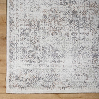 Hyeres Traditional Medium Gray Area Rug