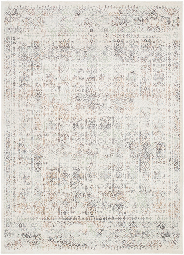 Hyeres Traditional Medium Gray Area Rug