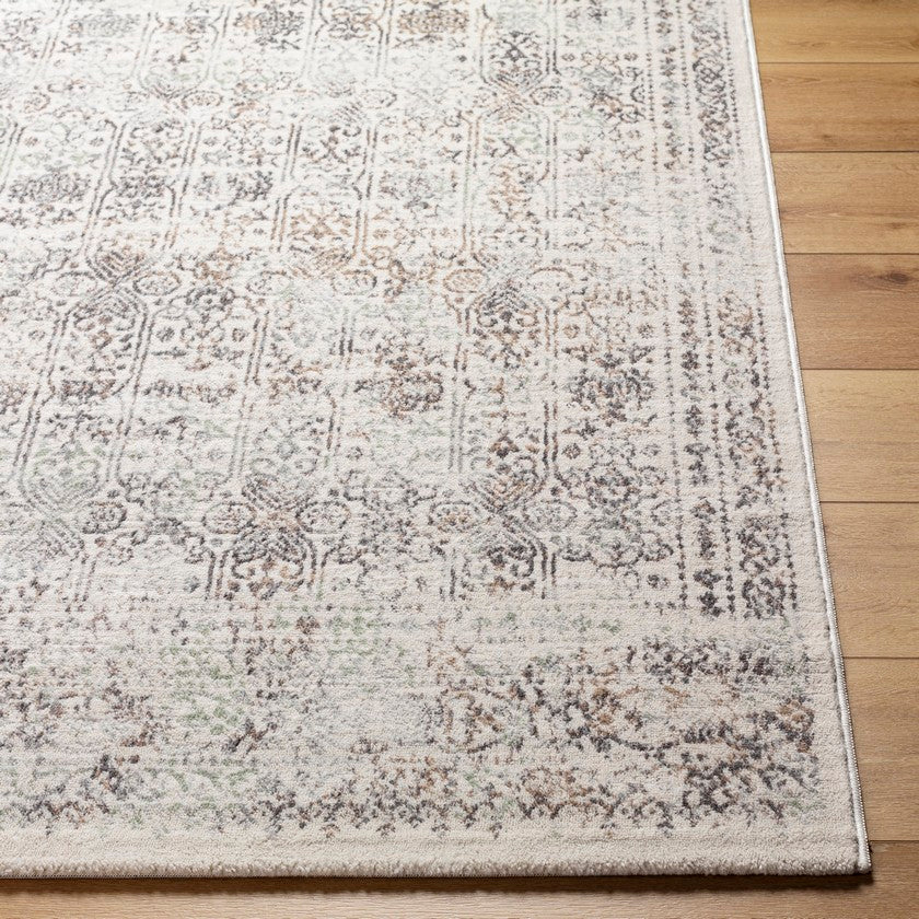 Hyeres Traditional Medium Gray Area Rug