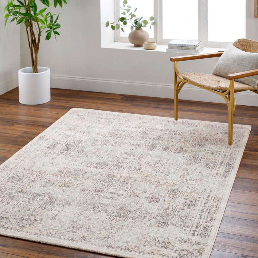 Hyeres Traditional Medium Gray Area Rug
