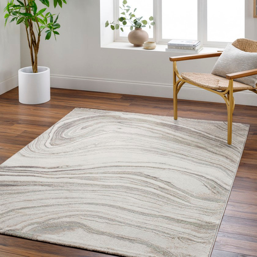 Morad Modern Light Gray Area Rug