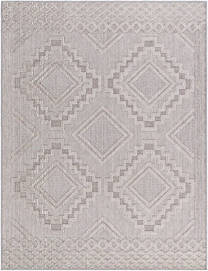 Arno Modern Light Gray Area Rug